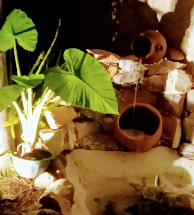 Apartamento RAIZ DEL CIELO, entre 2 jardines de ensueño Córdoba Exterior foto
