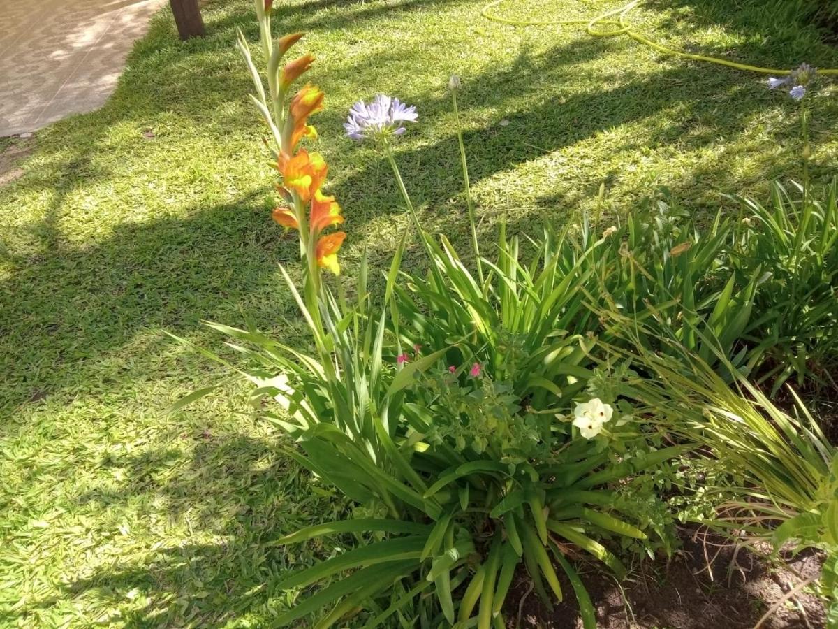 Apartamento RAIZ DEL CIELO, entre 2 jardines de ensueño Córdoba Exterior foto
