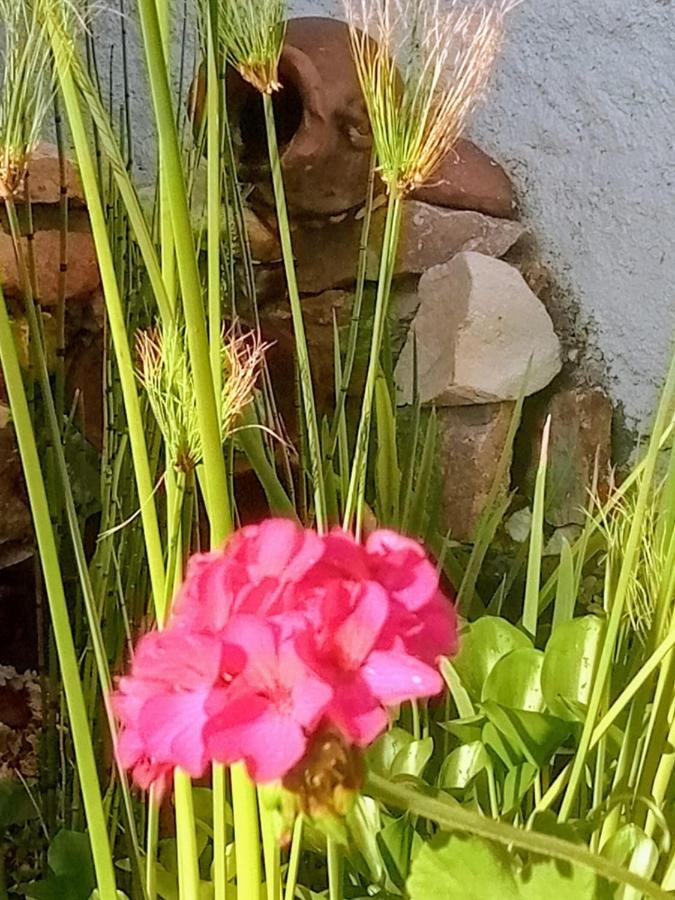Apartamento RAIZ DEL CIELO, entre 2 jardines de ensueño Córdoba Exterior foto