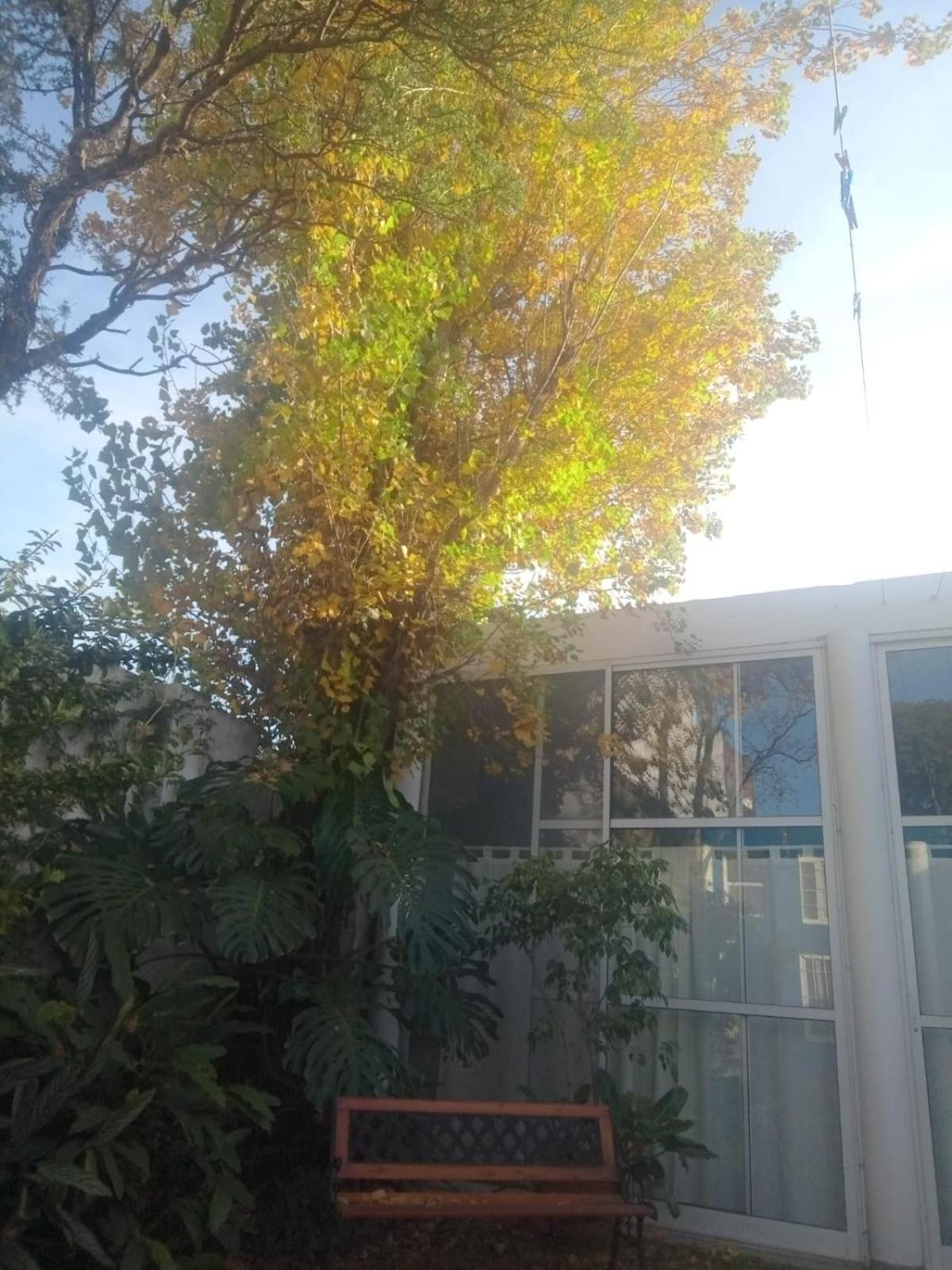 Apartamento RAIZ DEL CIELO, entre 2 jardines de ensueño Córdoba Exterior foto