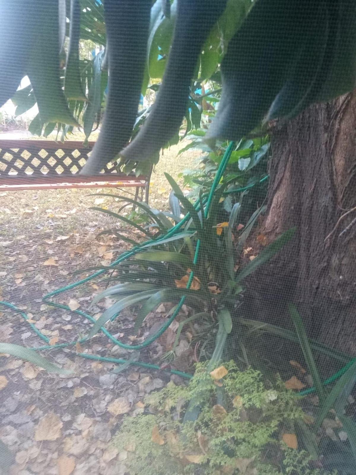 Apartamento RAIZ DEL CIELO, entre 2 jardines de ensueño Córdoba Exterior foto
