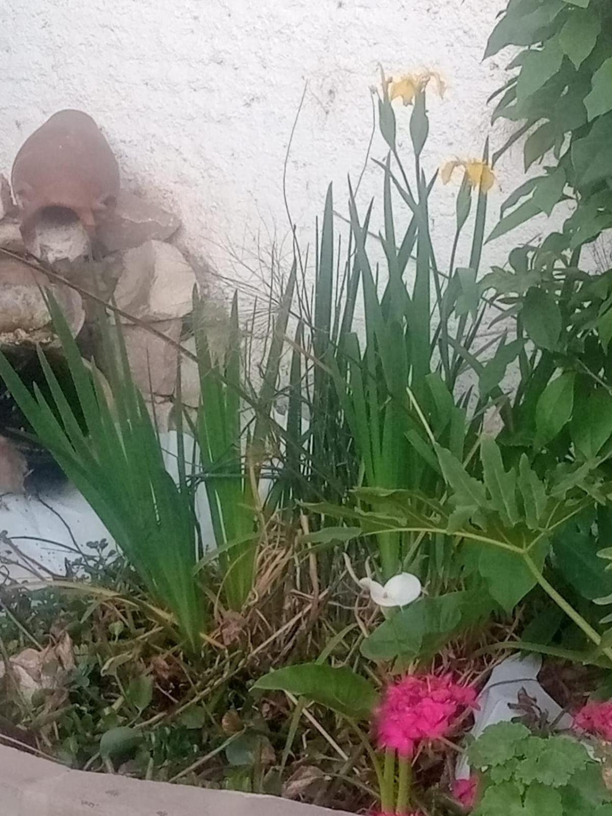 Apartamento RAIZ DEL CIELO, entre 2 jardines de ensueño Córdoba Exterior foto