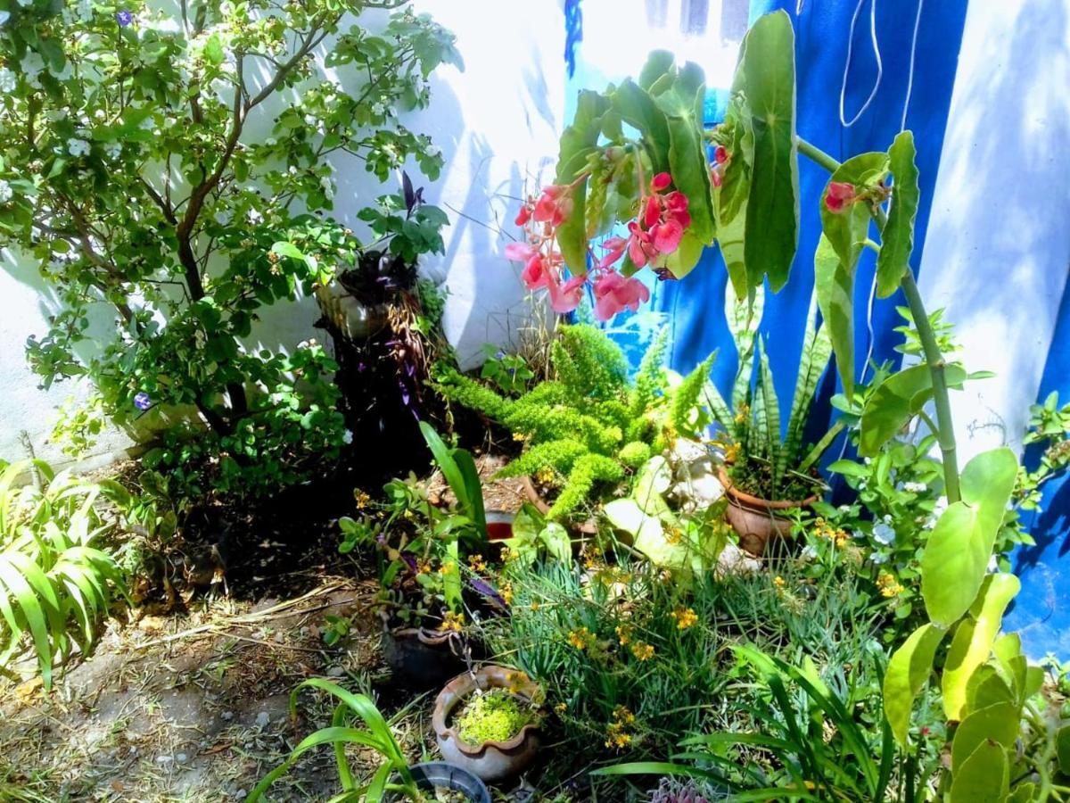 Apartamento RAIZ DEL CIELO, entre 2 jardines de ensueño Córdoba Exterior foto